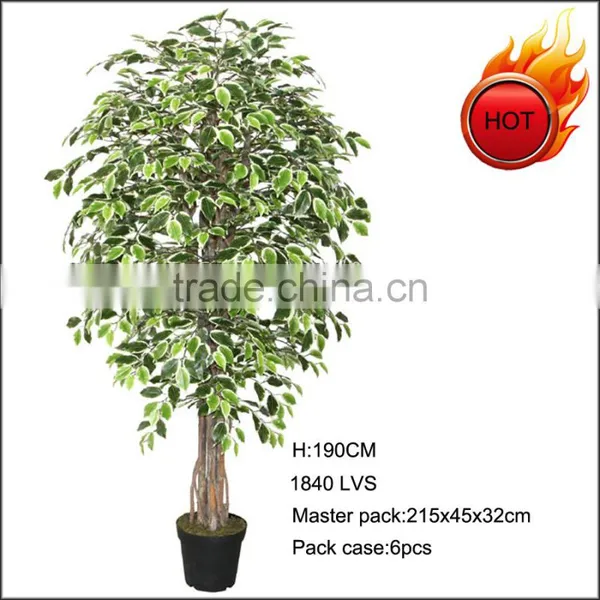 Hot Sale Artificial Variegated Ficus Tree photo-1