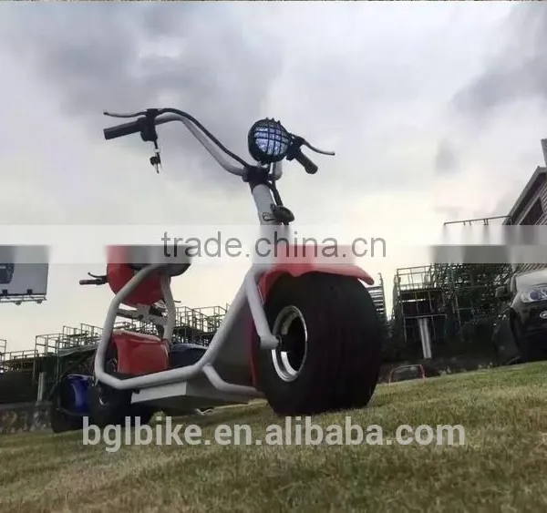 2017 the Most Fashionable Citycoco 2 Wheel Electric Scooter Adult Electric Motorcycle photo-6