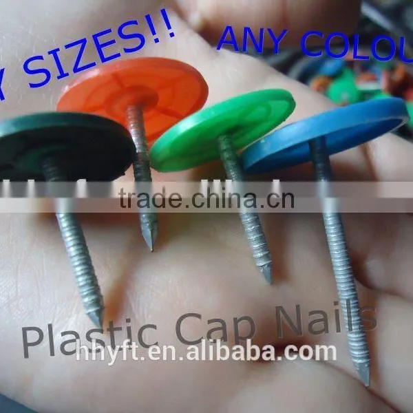 Plastic Cap Roofing Nails on Hot Sale China Supplier on Hot Sale photo-2