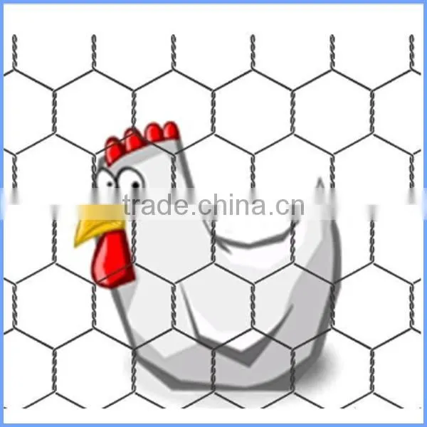 Galvanized Hexagonal Wire Netting,pvc Coated Hexagonal Wire Netting photo-2
