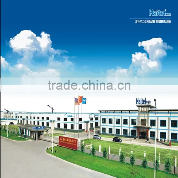 Famous Automatic Tea Bag Packing Machine photo-5