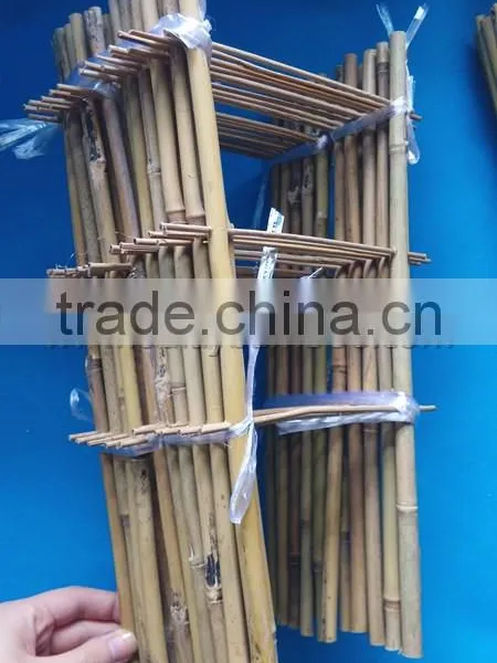 Cheap Bamboo Trellis Assemble by Yourself for Economical Shipping Cost photo-3
