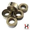 Ring Magnet