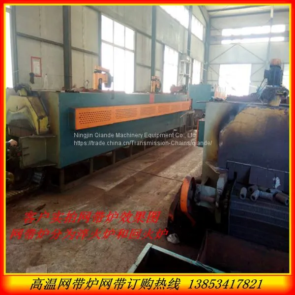 High Temperature Furnace Conveyor Belt photo-2