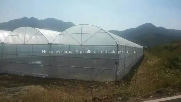 Agricultural Multi-span Hot Galvanized Steel Greenhouse Frame for Tomato photo-5