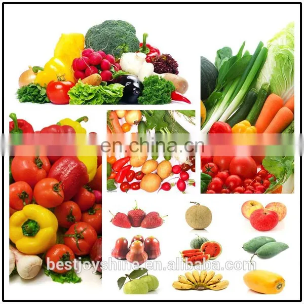 Factory Supply CE Approved Potato Washing Grading Machine Carrot Washing Machine photo-4