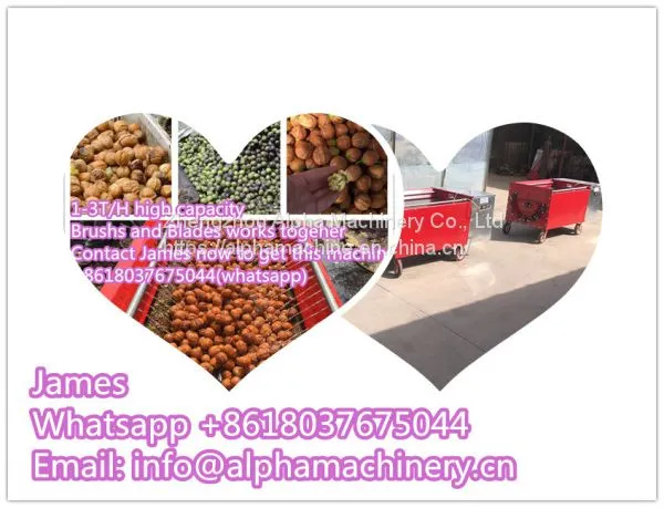 Green Walnut Washing Peeling Machine Walnut Peeler Machine photo-4