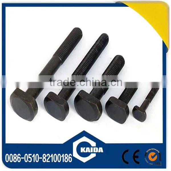 Stainless Steel T-head Bolt photo-2