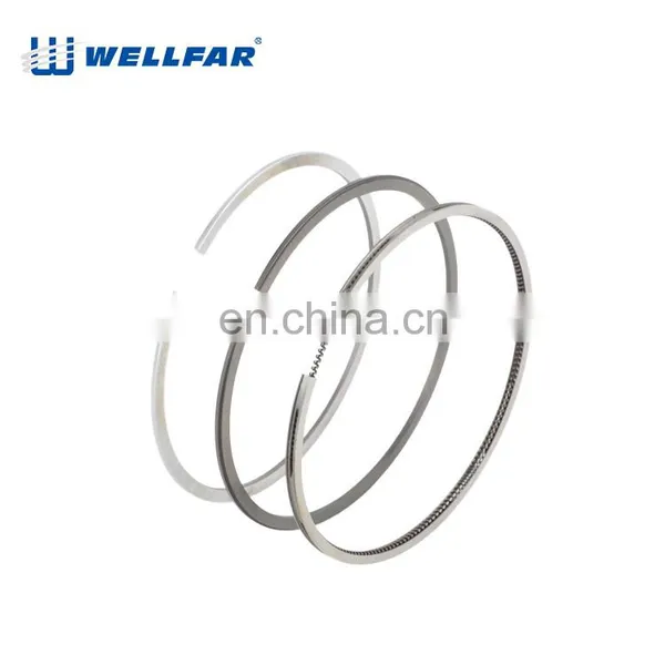 Wellfar French Car 206 Auto Parts 75mm Piston Rings For Peugeot 206 Engine photo-3