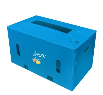 Custom Corrugated PP Plastic Fruit Packaging Box Manufacturer