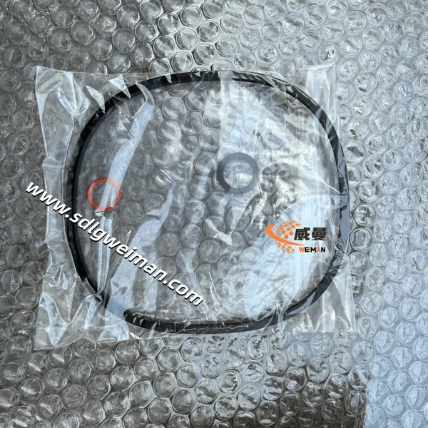 SDLG Fuel Filter Inse J11220925 for SDLG E6210F E6300F Excavator photo-2