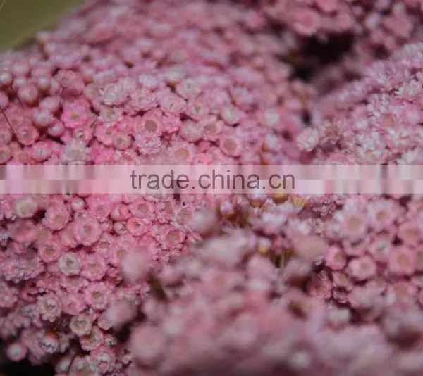 Star Flower Bouquet photo-2