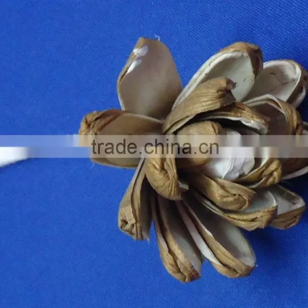 Sola Flower photo-4
