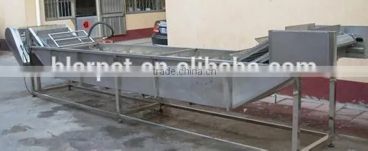 100kg/h Fried Potato Chips Production Line photo-4