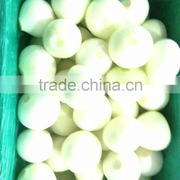 2014 Wholesale Fresh Yellow Onion Export to Dubai