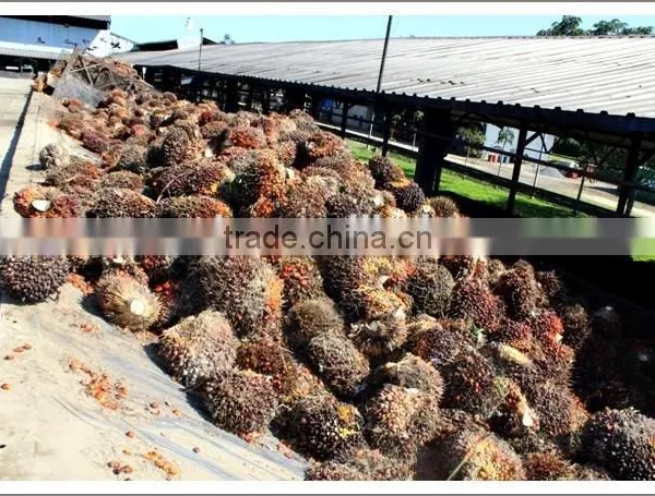 Professional Palm Oil Fractionation Line photo-6