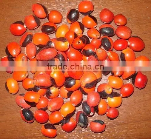 Huayruru Seeds' Beads