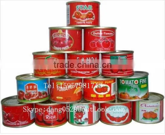 Safety And Hygiene 2200g Tomato Catsup of Brix 28-30% Sellerdom in Africa photo-6