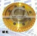 Worm Wheel, Worm for Passenger Hoist