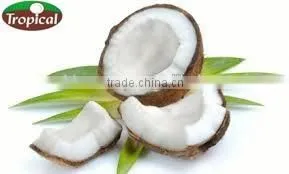 Cold Pressed Virgin Coconut Oil for Bulk photo-2