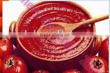 High Speed Fruit Pulper Machine With Compact Structure photo-6