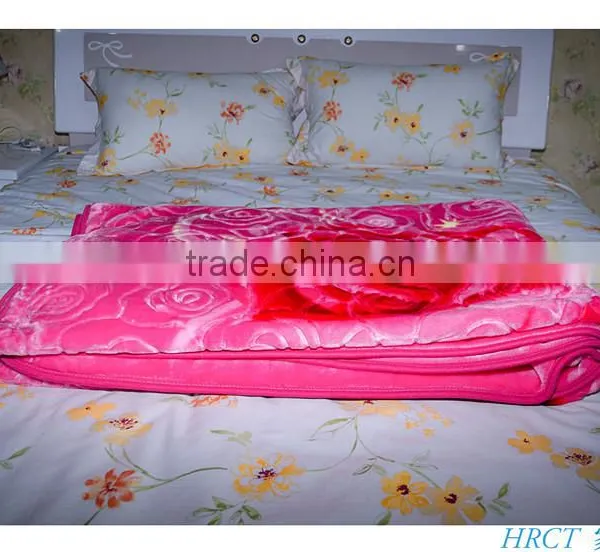 Hot Selling New Design 100 % Polyester Korean Style2Ply Mink Blanket photo-5