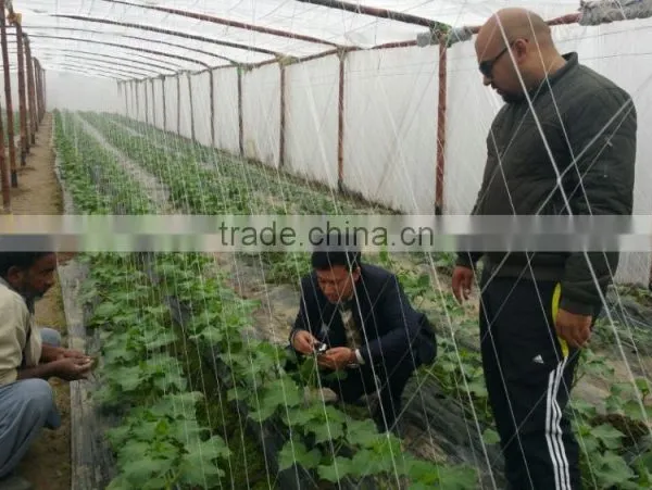 HOT SELLING!!Best Quality Knitted BOP /cucumber Climing Net photo-3