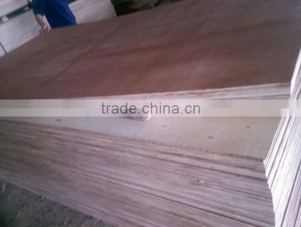 Commercial Plywood Manufacturer/MLH Eucalyptus Acacia Bingtangor Plywood photo-5