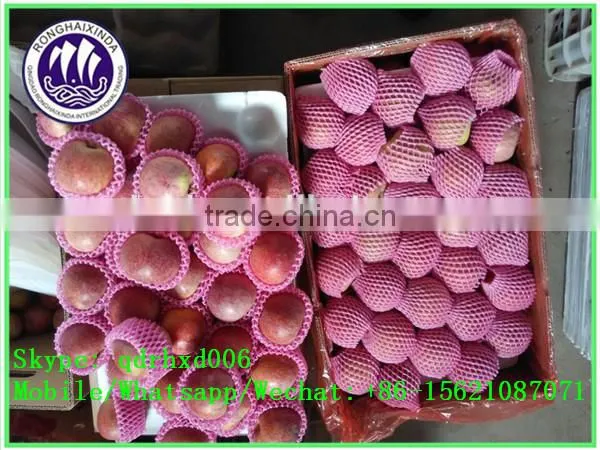 2015 Fresh Fuji Apple on Sale in Hot Sale Season With High Quality and Lowest Price photo-4