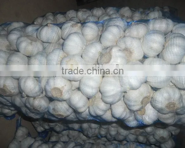 2015 China New Common White Garlic photo-2