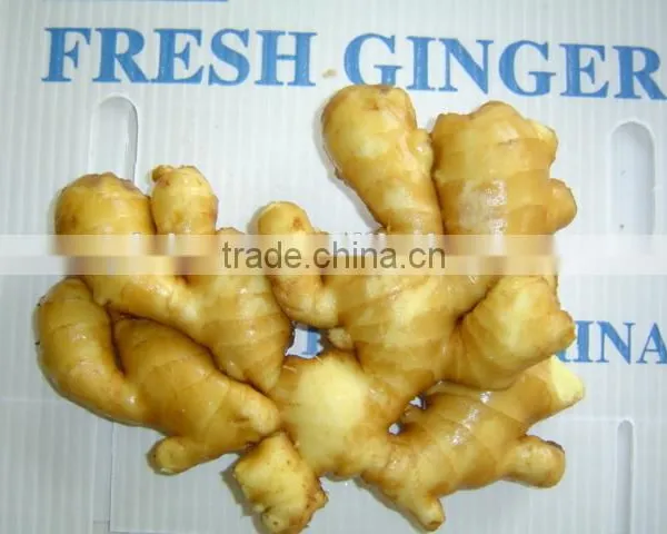Fresh Washed Ginger photo-2