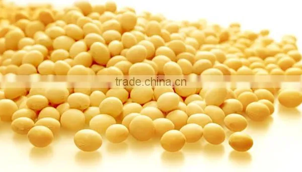High Quality Soy Fiber Non-GMO