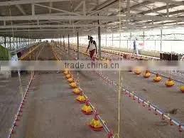 Chicken Feeders And Drinkers/Broiler Feeder And Drinkers/Turkey Feeder And Drinkers photo-6