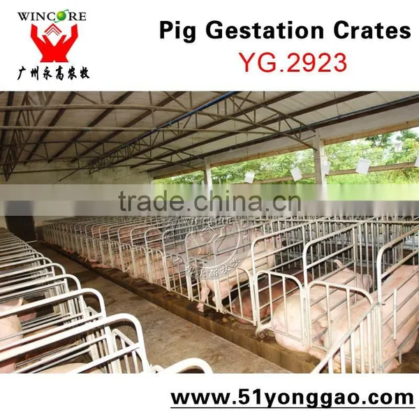 Pig Gestation Crate For Pig Farm Equipment,Poultry Equipment Sow Limitation Crate photo-3
