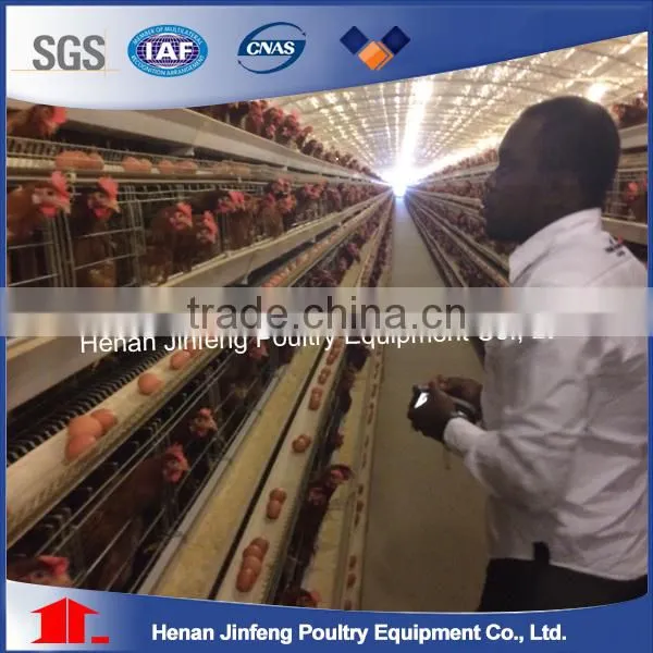 Poultry Chicken Equipment A Type Egg Chicken Cage Hot Sale photo-5