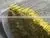 Raw Agarbatti Incense Stick for India photo-3