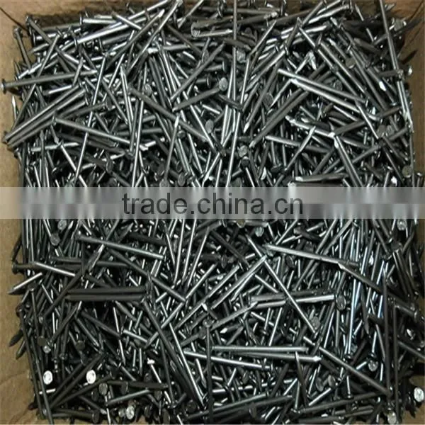 Common Nail / Common Wire Nail / Common Iron Nail photo-2
