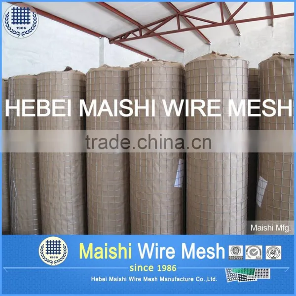 Welded Wire Mesh (28 Years Factory) photo-4