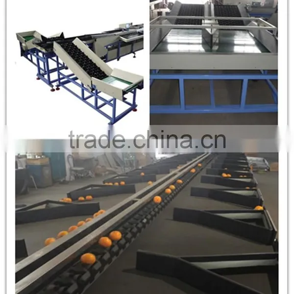 Hot Sale Apple and Orange Grading/Sorting Machine photo-5