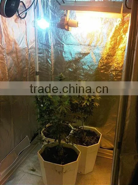 PVC Free Greenhouse Hydroponics Indoor Grow Tent Grow Room 100*100*200cm
