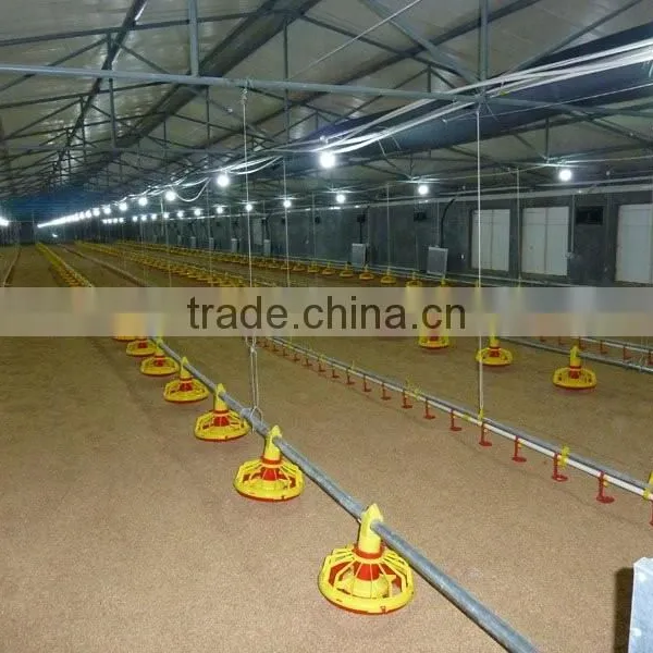 BT Factory Chicken Farming for Broiler Chicken photo-5