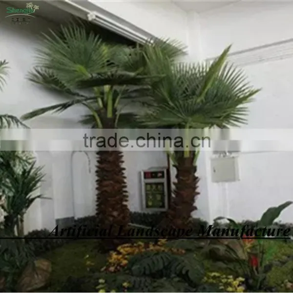 Garden/landscaping/home Decorative Indoor Palm Trees photo-3