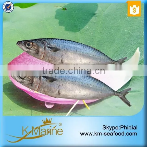 China Supplier of Sea Food Products photo-2