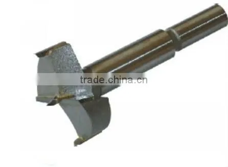 Carbide Tip Forstner Bit
