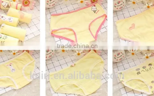 Wholesale 2017 Hot Sale High Quality Womens Underwear Cotton Briefs Panties With Box photo-6