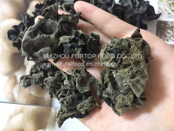 Factory Price Big Fungus Dried Black Mushroom Whole Like a Flower photo-3