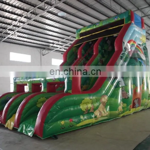 Giant Inflatable Slide