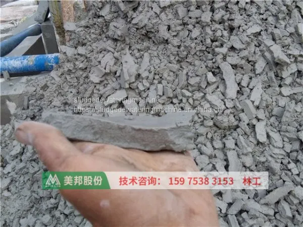 Coal Mine Tailing Sludge Dewatering Machine photo-2