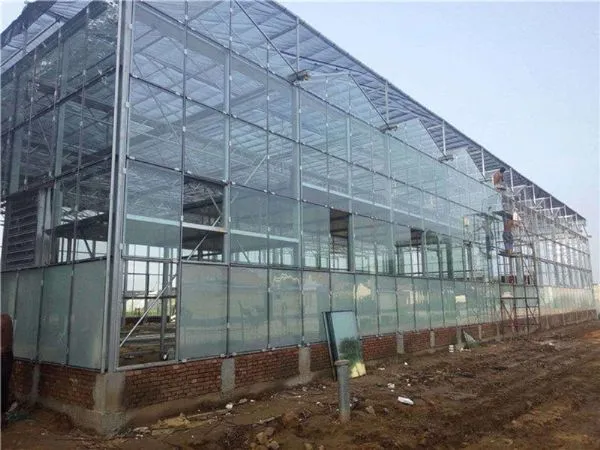 Glass Greenhouse 9.6m/10.8m Multispan Glass Greenhouse photo-3
