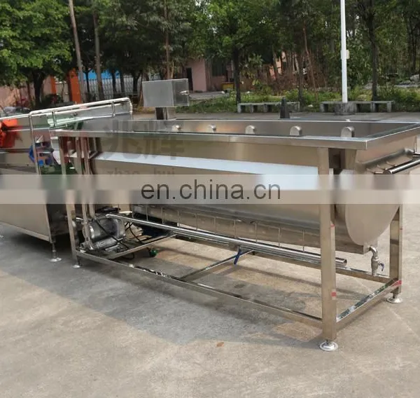 Washer Type Vegetable Process Machine Small Type Washing Machine for Lettuce Cabbage, Preserved Vegetable photo-7